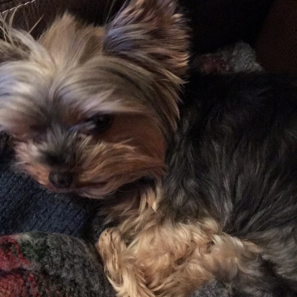 Meet your Posher, Jennifer